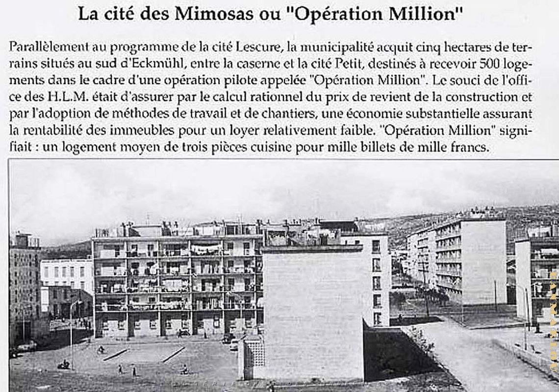 Cite Mimosas 04.jpg